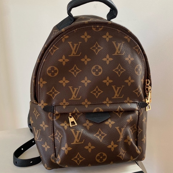 Louis Vuitton Palm Springs PM Backpack - Picture 4 of 10